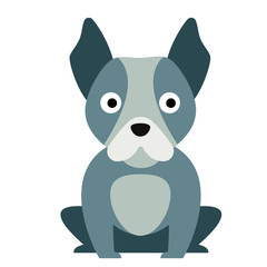 Bulldog flat illustration