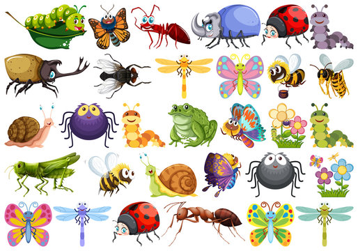 Set of insect character Stock Vector | Adobe Stock