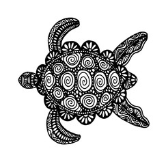 Fototapeta premium Turtle, hand drawing with ornament illustration