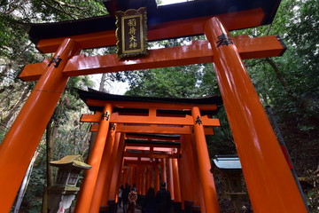 日本の京都の伏見稲荷大社の鳥居