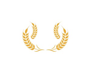 Agriculture wheat Logo Template vector icon