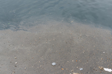 Water pollution in the sea