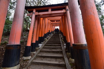 日本の京都の伏見稲荷大社の鳥居