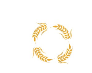Agriculture wheat Logo Template vector icon