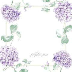 Hand drawing watercolor hydrangea