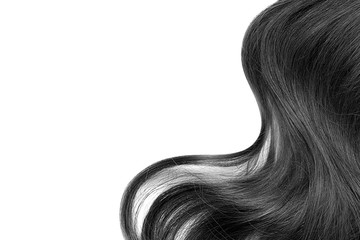 Fototapeta premium Natural black hair isolated on white. Background