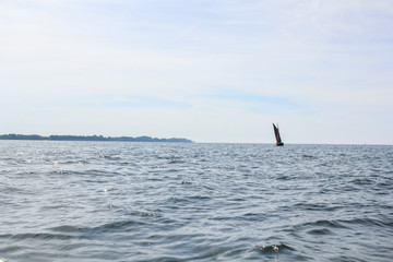 Naklejka premium luft meer und wasser