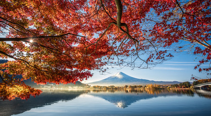 Colorful Autumn Season and Mountain Fuji with morning fog and red leaves at lake Kawaguchiko is one of the best places in Japan