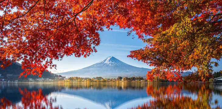 Colorful Autumn Season and Mountain Fuji with morning fog and red leaves at lake Kawaguchiko is one of the best places in Japan