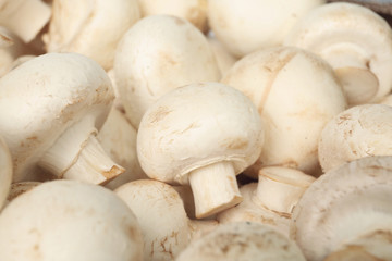 Fototapeta na wymiar Fresh raw champignon mushrooms as background, closeup