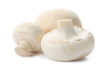 Fresh raw champignon mushrooms on white background