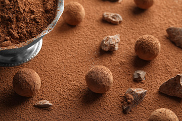 Composition with tasty raw chocolate truffles on cocoa powder