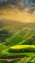 Sunset on the rice filed terrace in the countryside of Dazhai ,Shanxi province ,China