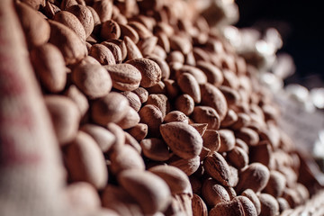 ein bild wie im märchen wald