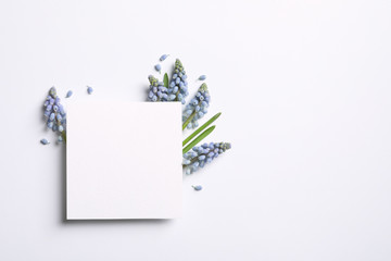 Empty card and spring muscari flowers on white background, top view. Space for text