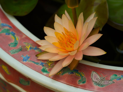 欧陆娱乐棋牌大厅活动精彩时刻