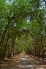 Fototapeta premium Beautiful village road in Jeddah, Saudi arabia