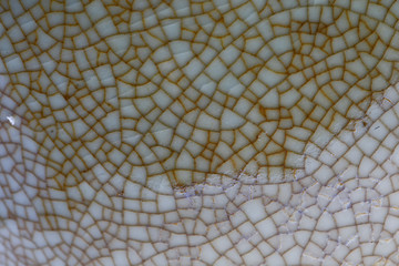 The texture of the porcelain wares