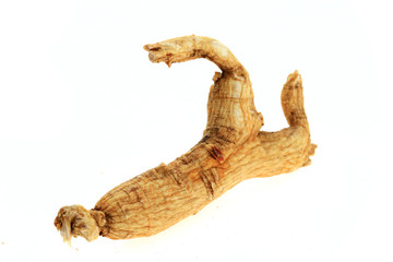 Ginseng on a white background
