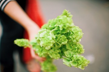 Farmers Market Vendor displaying florals