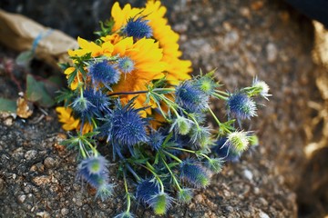 Farmers Market Flowers
