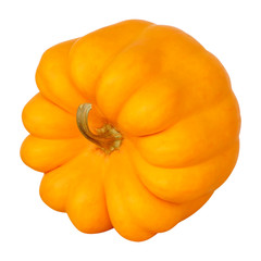 Pumpkin isolated on a white background