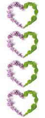 creative composition - four hearts lined with fresh cut lilac flowers on a white background. flat lay, top view, vertical