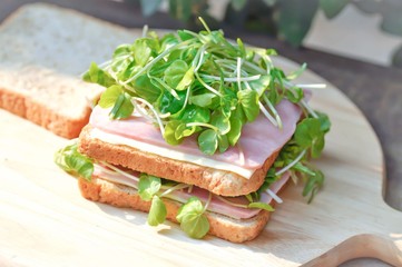 sandwich, ham and cheese sandwich
