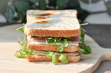 sandwich, ham and cheese sandwich
