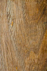 brown wood texture