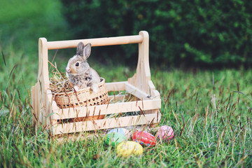 Easter eggs and Easter bunny on green grass outdoor