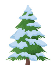 Obraz premium pine tree icon isolated