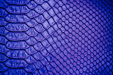 Close up of blue Luxury snake skin texture