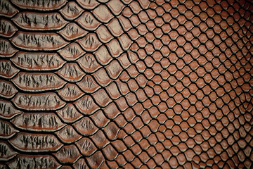 Close up of Luxury snake skin texture