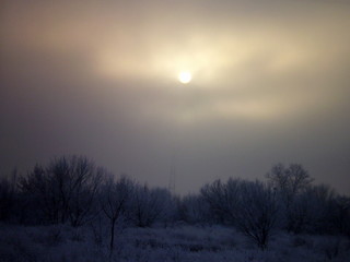 Obraz premium OLYMPUS DIGITAL CAMERA