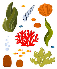 Underwater life elements. Cute ocean animals and corals. Use for postcard, print, packaging, etc. - 256117639