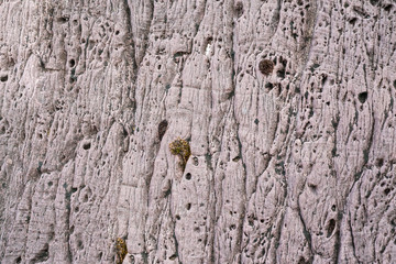 Close view of abstract colorful rock