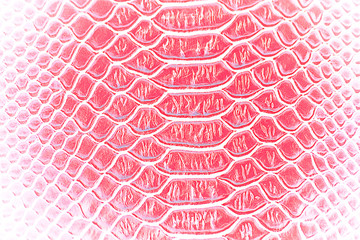 Close up of Abstract Luxury snake skin texture