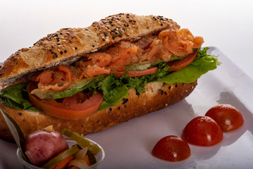 BAGUETTE CIABATTA TORTA CHAPATA