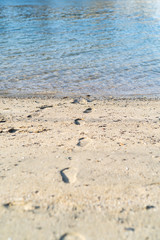 砂浜の足跡