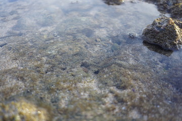 rocks on the beach