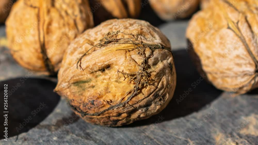 Poster zoom in on a walnut