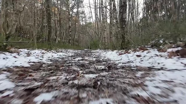 Dirt path with snow trough the woods filmed at a low angle