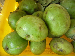 THESE ARE MANGOES 