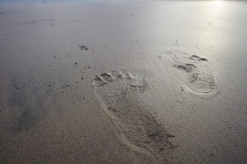 footprints on the beach