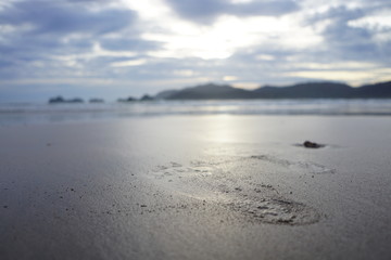 footprints on the beach