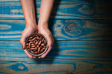 Brunette model holding ceramic pot with baru chestnut, blue wooden background.