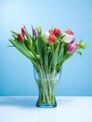 A bouquet of tulips on a blue background.