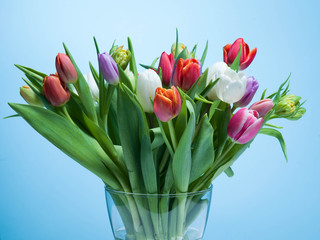 A bouquet of tulips on a blue background.