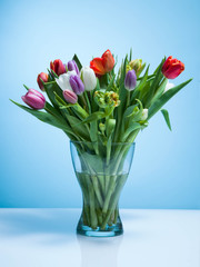 A bouquet of tulips on a blue background.